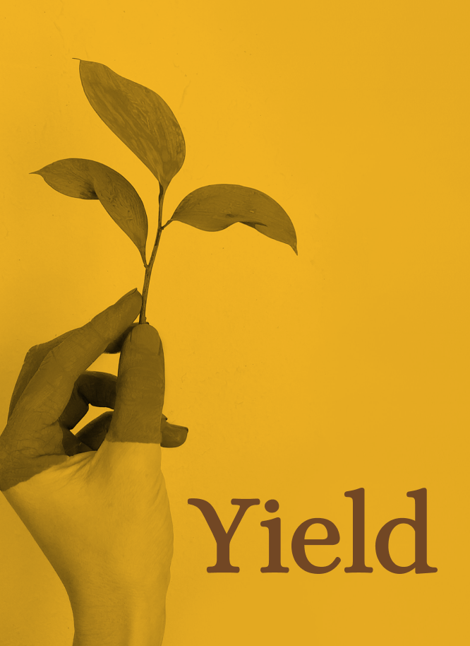 Yield